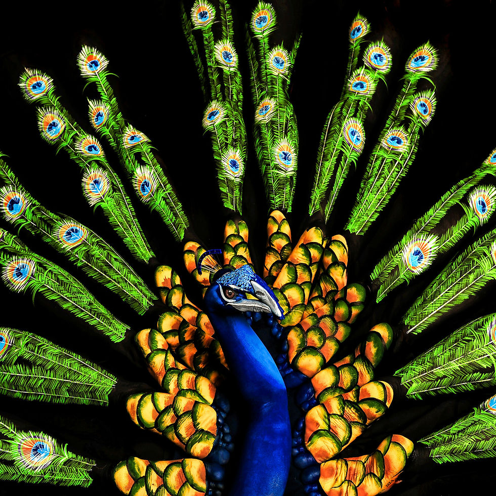 Peacock