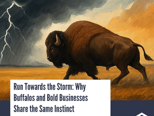 Run Towards the Storm: Why Buffaloes and Bold Businesses Share the Same Instinct