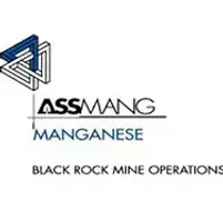 AssMangBlackRockMining.webp