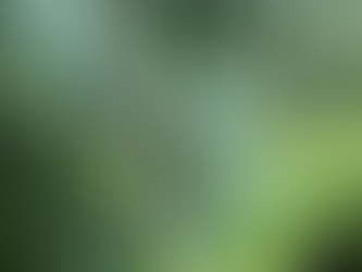 Mount Qingcheng Photography Guide