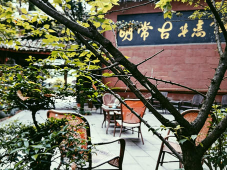 Accommodation in the front of Qingcheng Mountain: From temple rests to mountain forest retreats