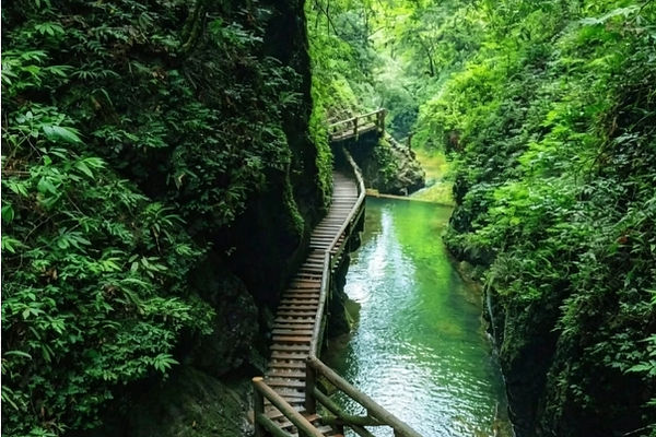 Qingcheng Back Mountain