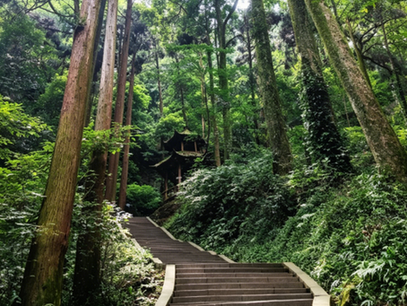 A journey to the front of Qingcheng Mountain