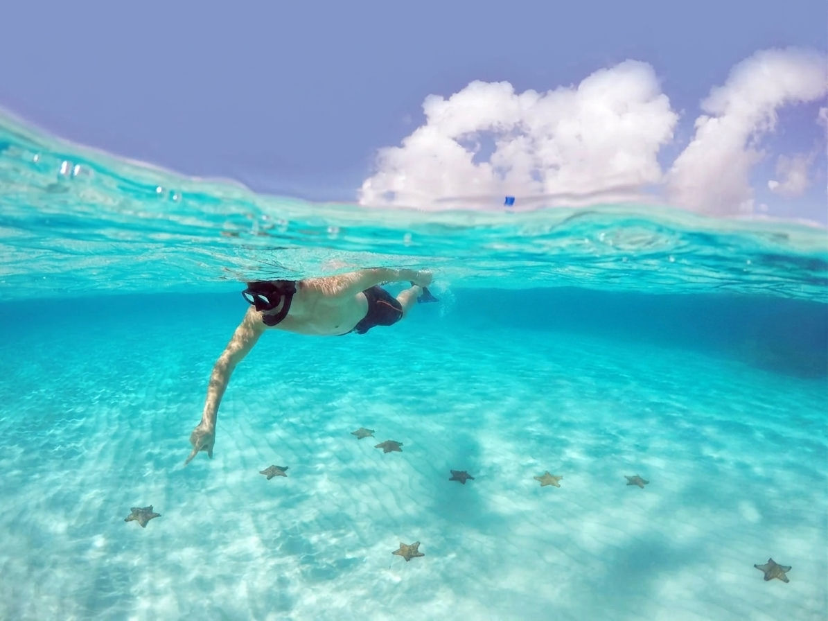 Tour privado por Cozumel