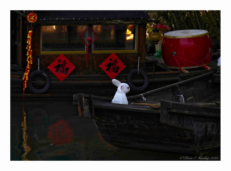 China - Shanghai - Wuzhen Ancient City - White Rabbit  7878.jpg