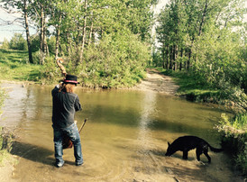 Bass River