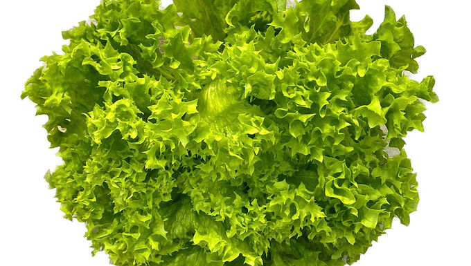Green Leaf