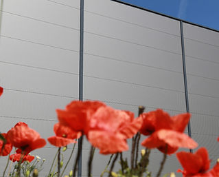 sandwich-panel