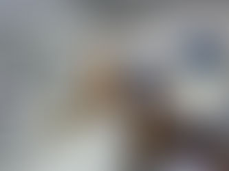 2019 - Reforma Geral Quinto Andar do Sinpro-Rio