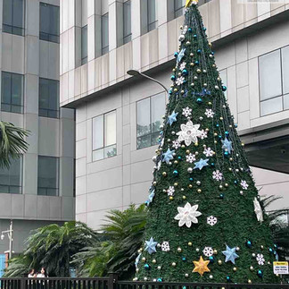 cây thông trong quá trình decor và set đèn led