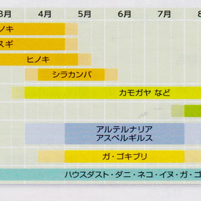スギ花粉シーズンの肌荒れは皮膚科で治しましょう