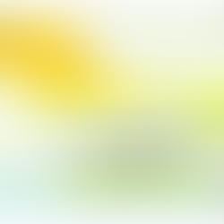 スギ花粉の季節は花粉皮膚炎にご注意ください