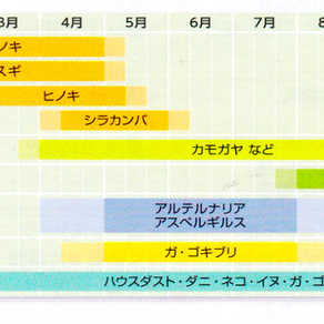 スギ花粉の季節は花粉皮膚炎にご注意ください