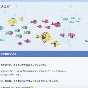 美容ブログはじめました