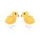 chicks_1801590.png