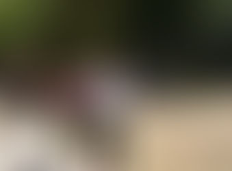 В проекте "До и После" успешно закончена интенсивная фаза программы!