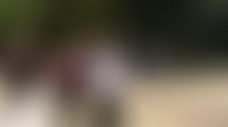 В проекте "До и После" успешно закончена интенсивная фаза программы!