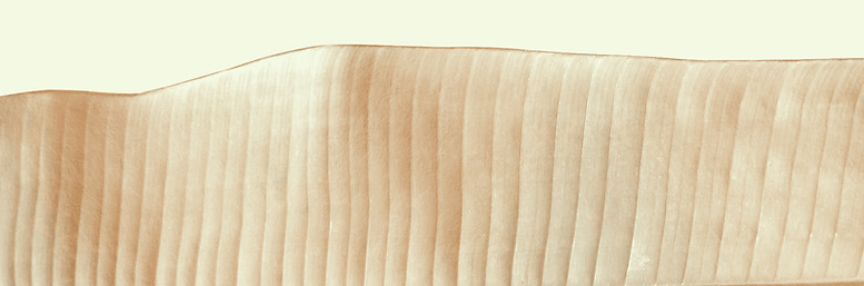 Gold Leaf
