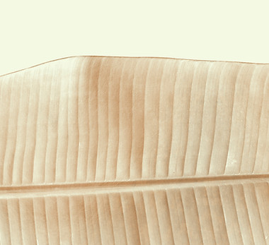 Feuille d'or