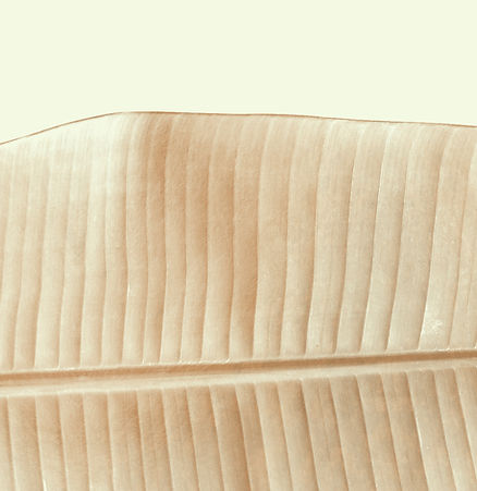 Hoja de oro