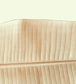 Gold Leaf