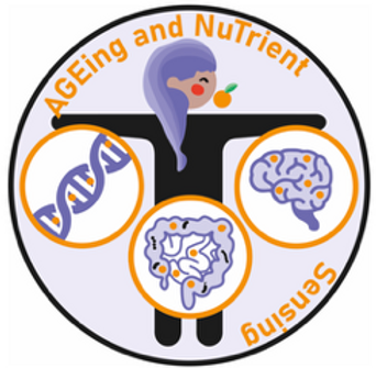 Agents logo