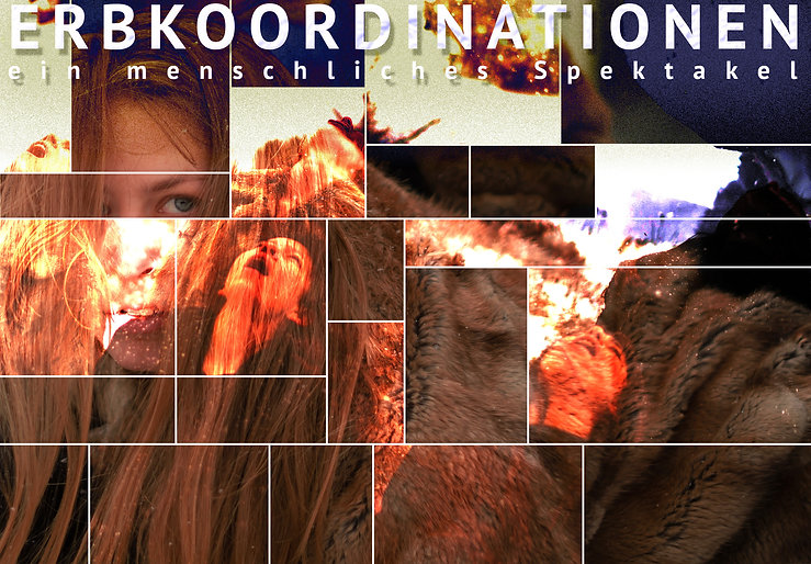 Erbkoordinationen_Flyer_Vorderseite.jpeg