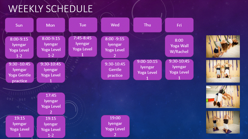 Weekly Schedule dec.gif