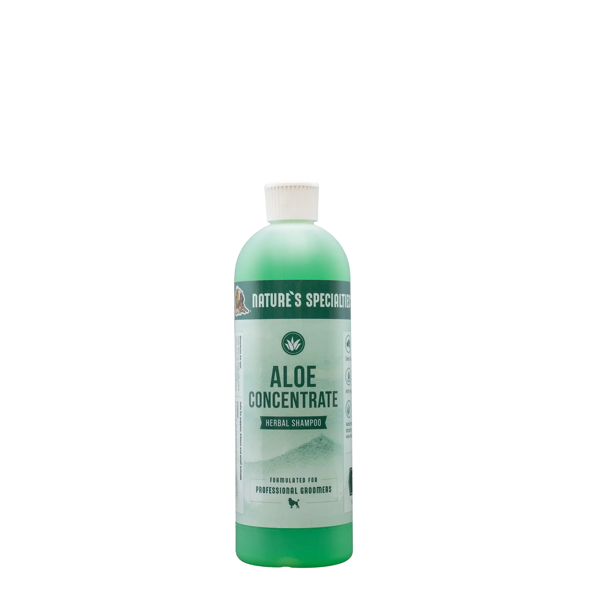 Aloe Concentrate Shampoo