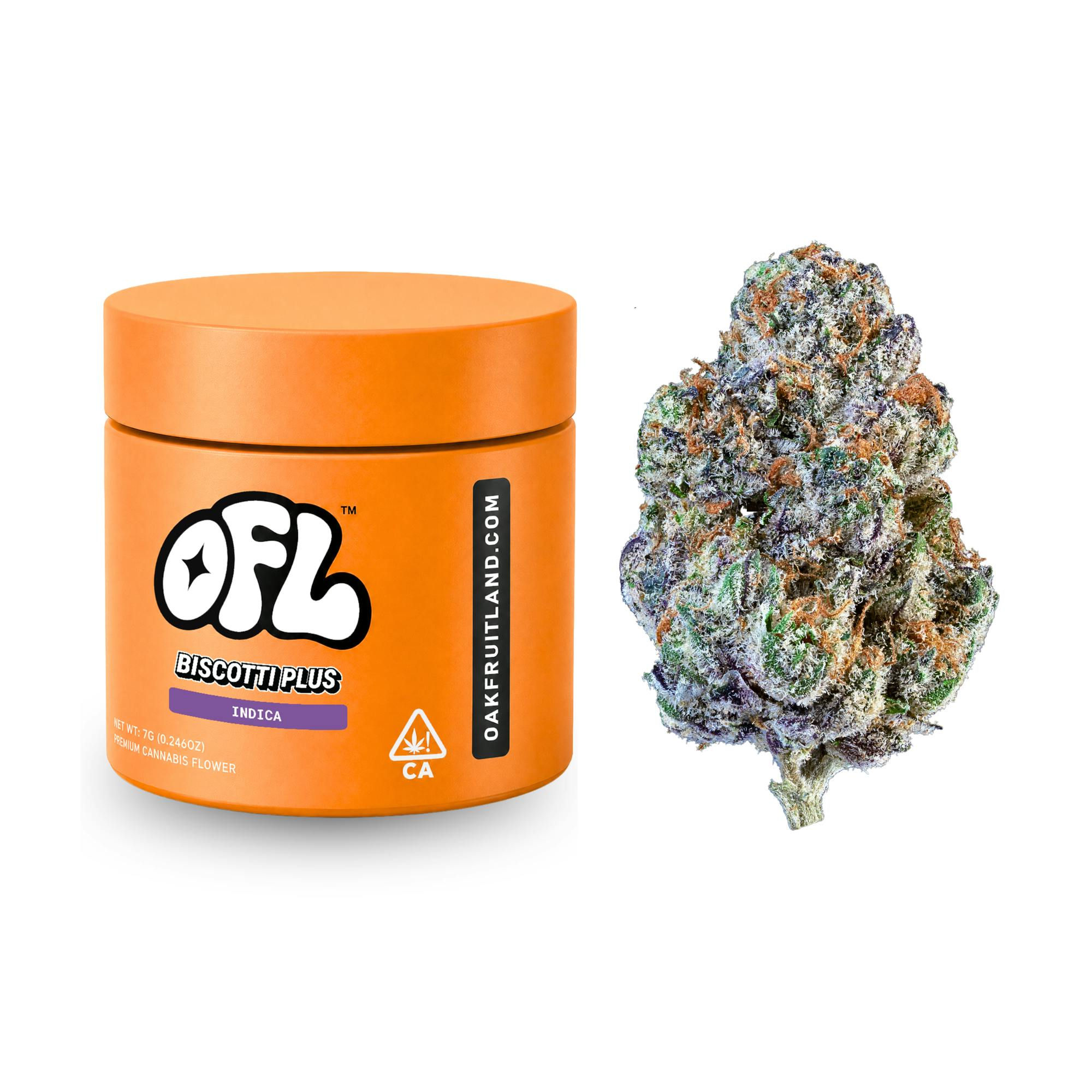 Oakfruitland (OFL) | Biscotti Plus | Premium Big Buds Jar | 7G