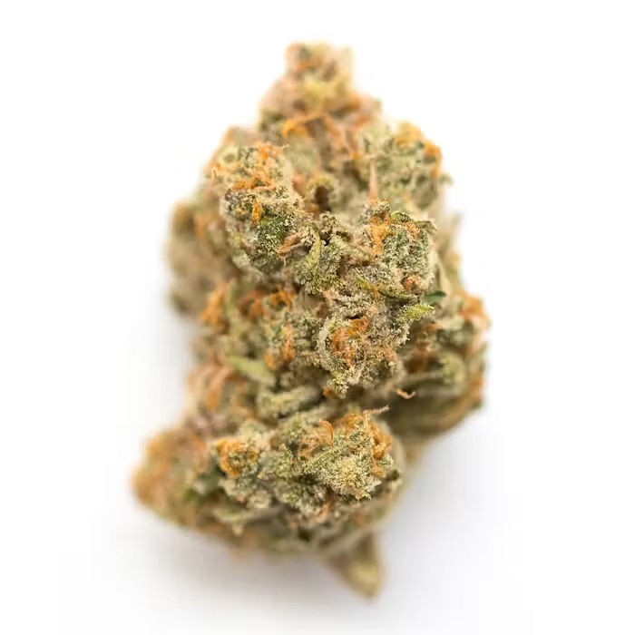 Tier 1 | Jackalope | Premium Indoor Flower | Sativa | 35.95% THC