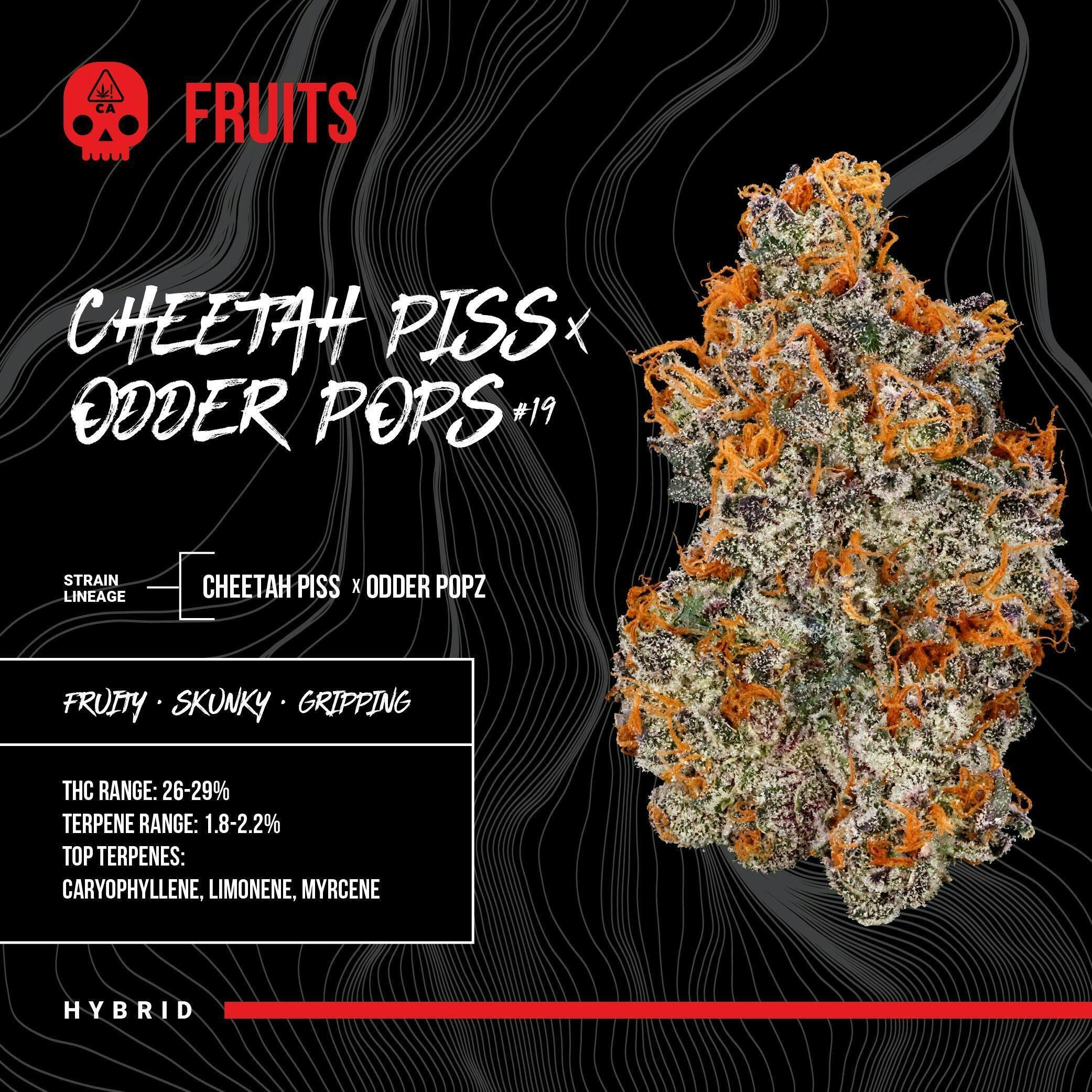 Bosky Genetics | Cheetah Piss & Odder Popz #19 | Premium Big Buds | 3.5g