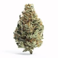 OZ Special | Tier 1 | Silverback Gorilla | Indoor Full Nug Flower | 32.91% THC