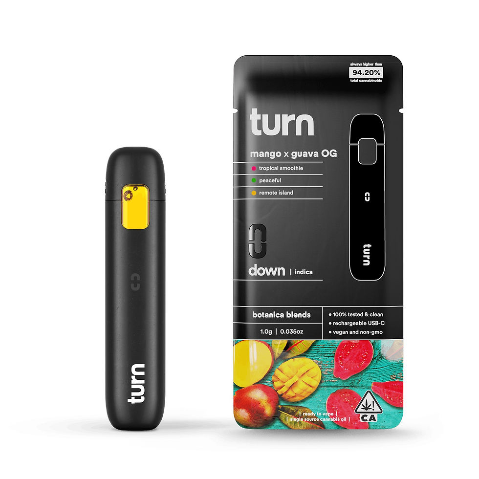 Turn | Mango Guava OG | Botanica Blends Disposable | 1G