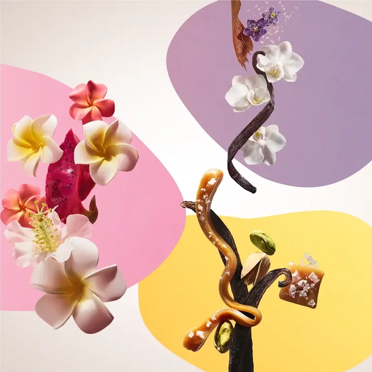 Miniatura: Sol de Janeiro - Rio Body Trio