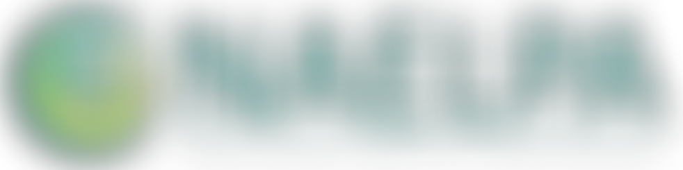 Establishing Effective Processes for Dual Language and Bilingual Education Programs in K-12 Education - Nov 2024