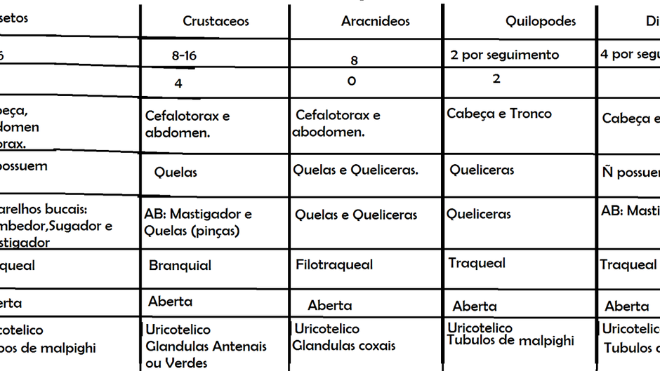 Artrópodes