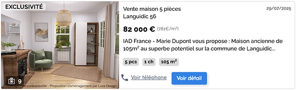 FICHE VENDEUR Proposition de mise en valeur immobilière (2).png