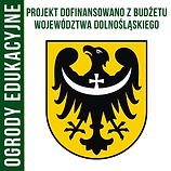 SZABLON_KWADRAT (2).png