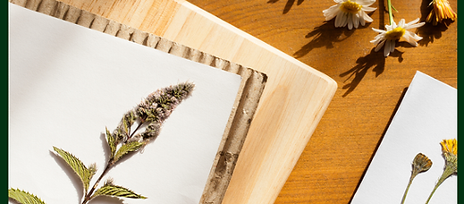 SZABLON_KWADRAT (5).png