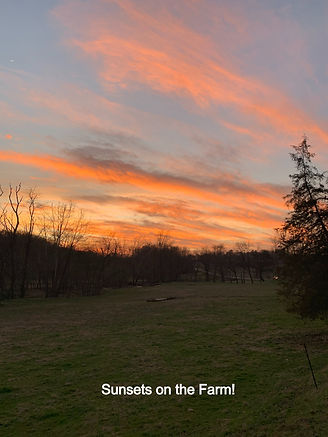 Farm sky 2_edited.jpg