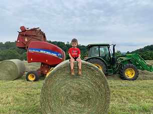 Working in the Hay