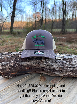Hat #2 good_edited.jpg