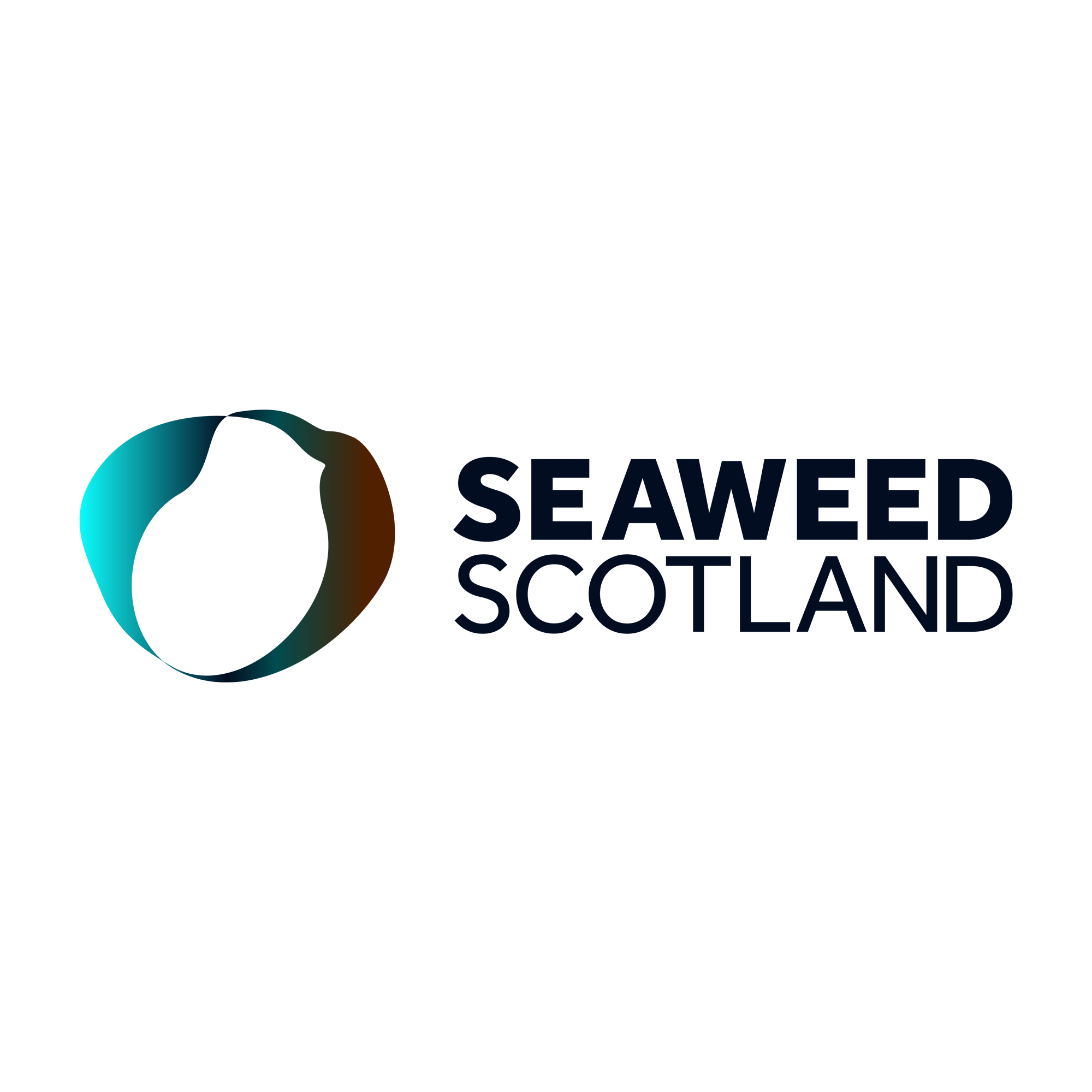 SwdScot-Logo-3c-Grdnt-RGB-300ppi-SQUARE.png
