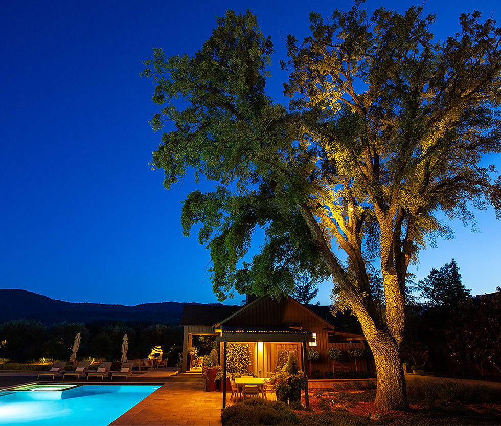Thumbnail: FX Luminaire® NP Up Light with Luxor® Technology