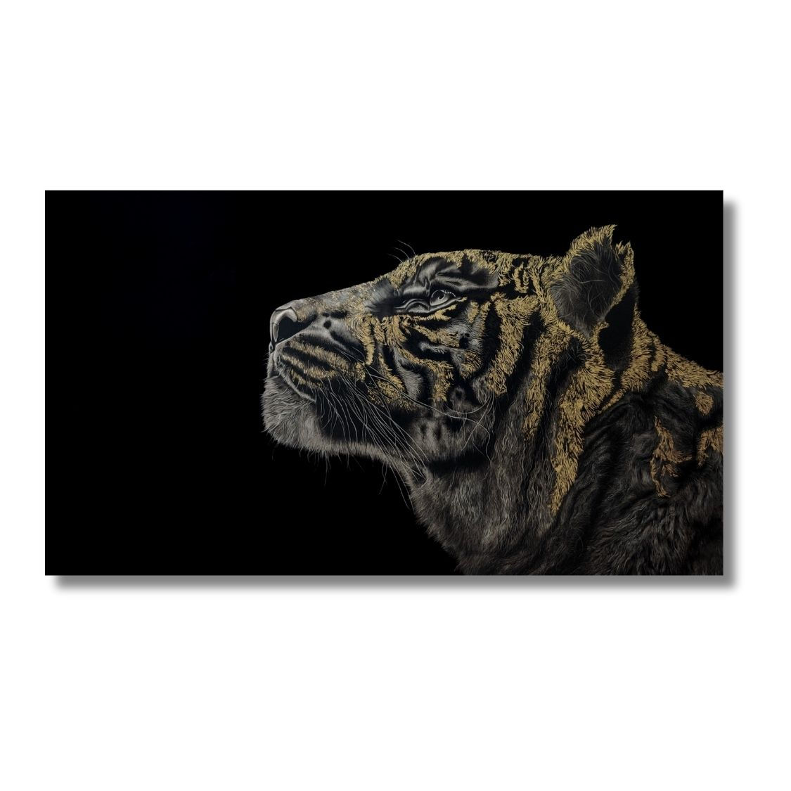 golden tiger charcoal painting