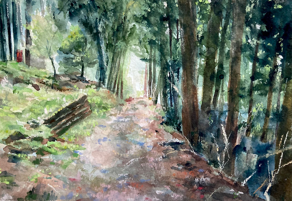 熊野古道38
