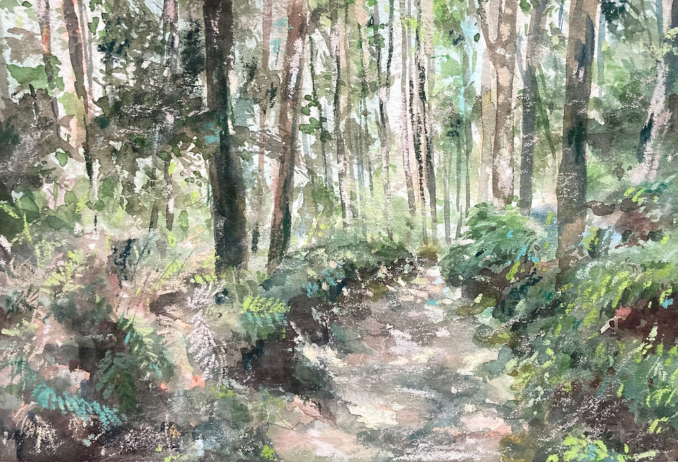 熊野古道37