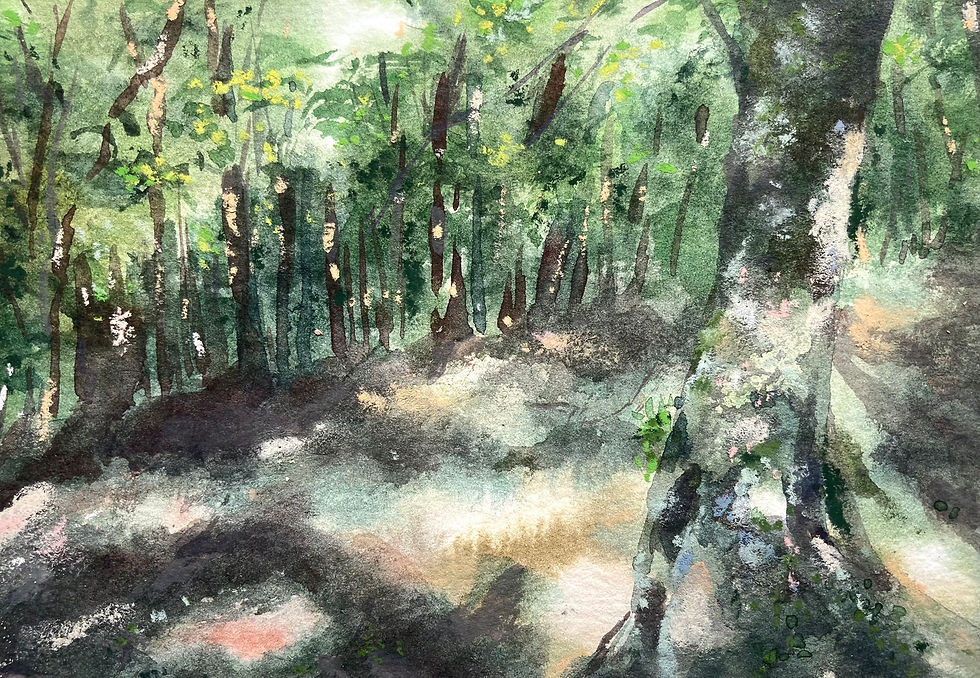 熊野古道27