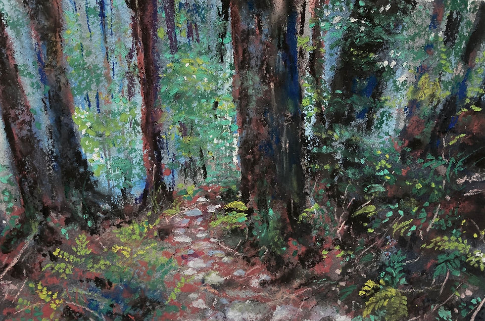熊野古道4